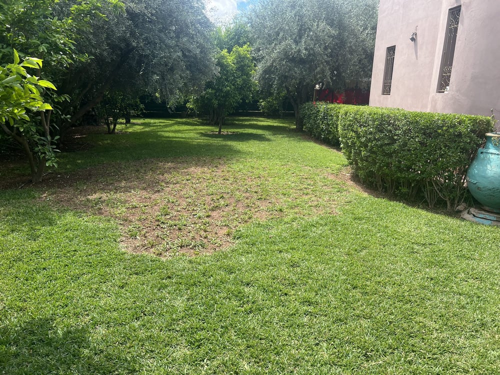Maison 3 ch. 250 m² à louer, Route de Fès, Marrakech — photo 6