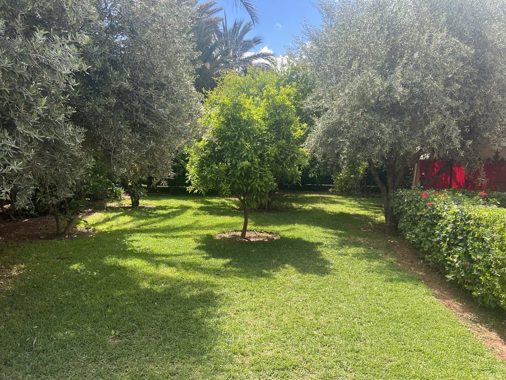 Maison 3 ch. 250 m² à louer, Route de Fès, Marrakech — photo 10