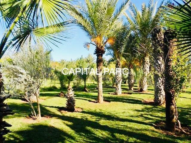 Villa de 3 ha avec 4 villas et piscines, à vendre à Marrakech — photo 5
