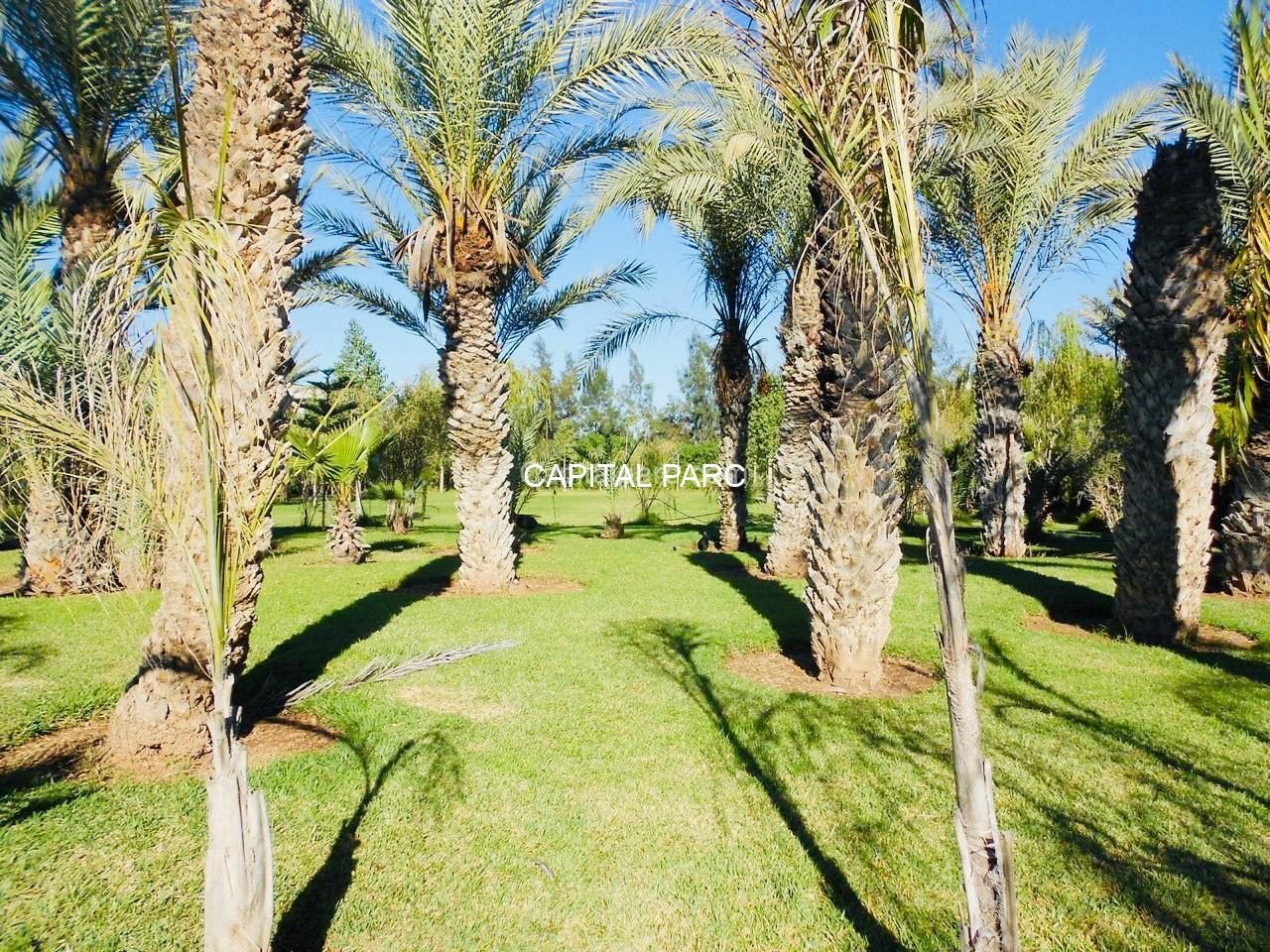 Villa de 3 ha avec 4 villas et piscines, à vendre à Marrakech — miniature 8