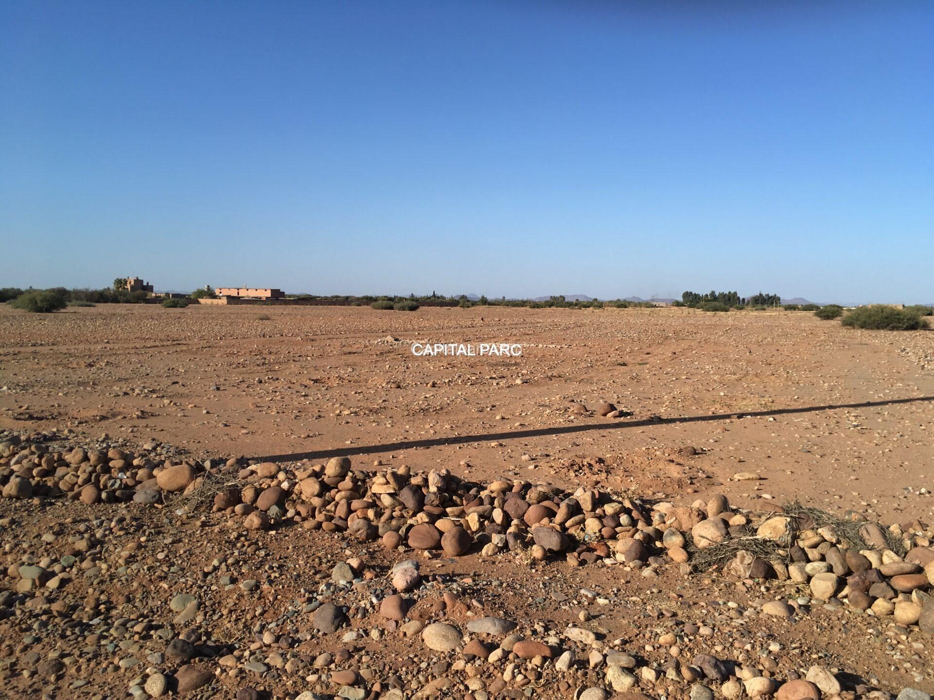 Terrain 8 ha à vendre, axe Ouarzazate, Marrakech — miniature 3