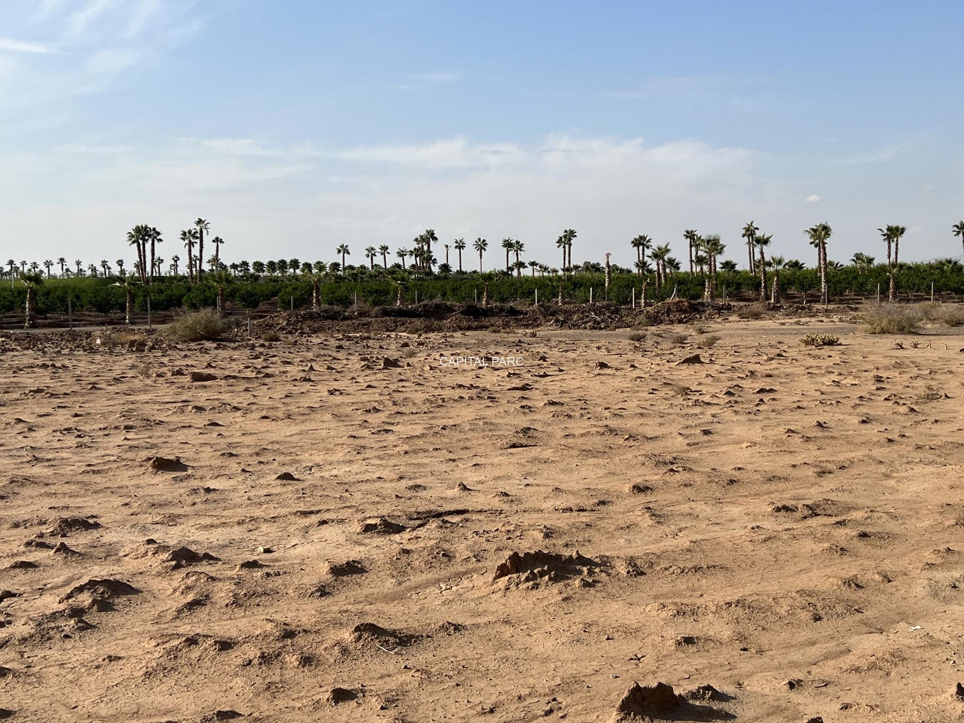 Terrain 2500 m² à vendre Route Ouarzazate, Marrakech — miniature 3
