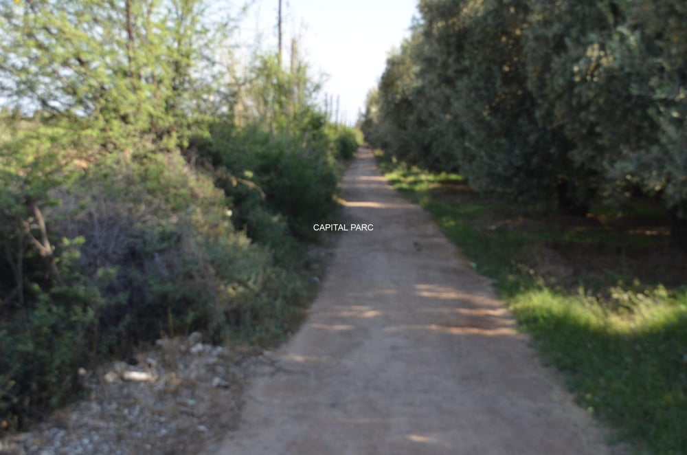 Terrain 5,8 ha à vendre Route de Fès, Marrakech — photo 4