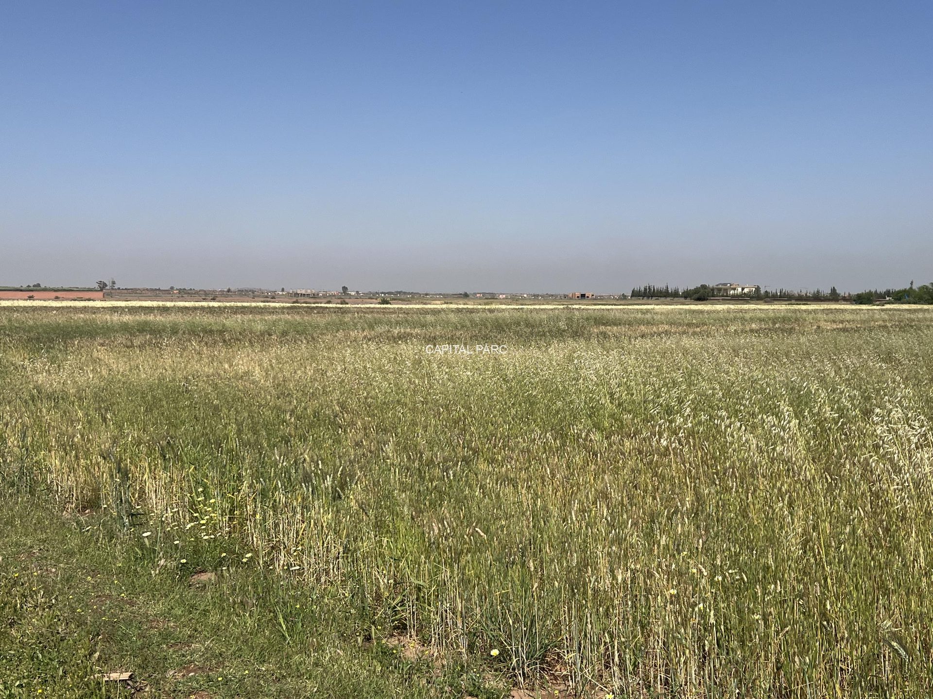 Terrain titré 3,85 ha, projet 16 villas – Tahanaoute — miniature 11