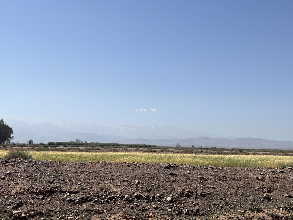Terrain titré 3,85 ha, projet 16 villas – Tahanaoute — photo 12