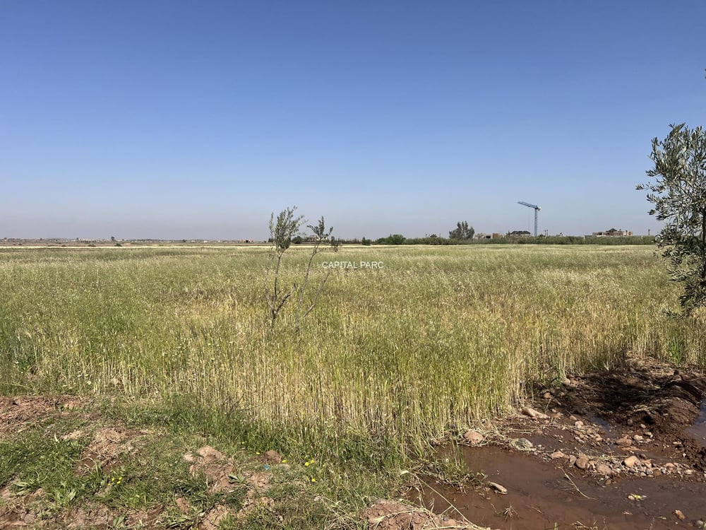 Terrain titré 3,85 ha, projet 16 villas – Tahanaoute — photo 13