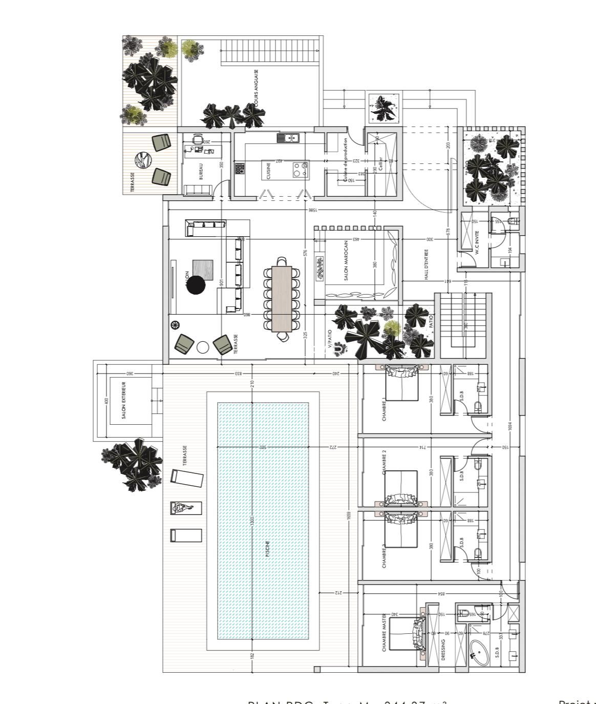 Terrain titré 3,85 ha, projet 16 villas – Tahanaoute — miniature 4