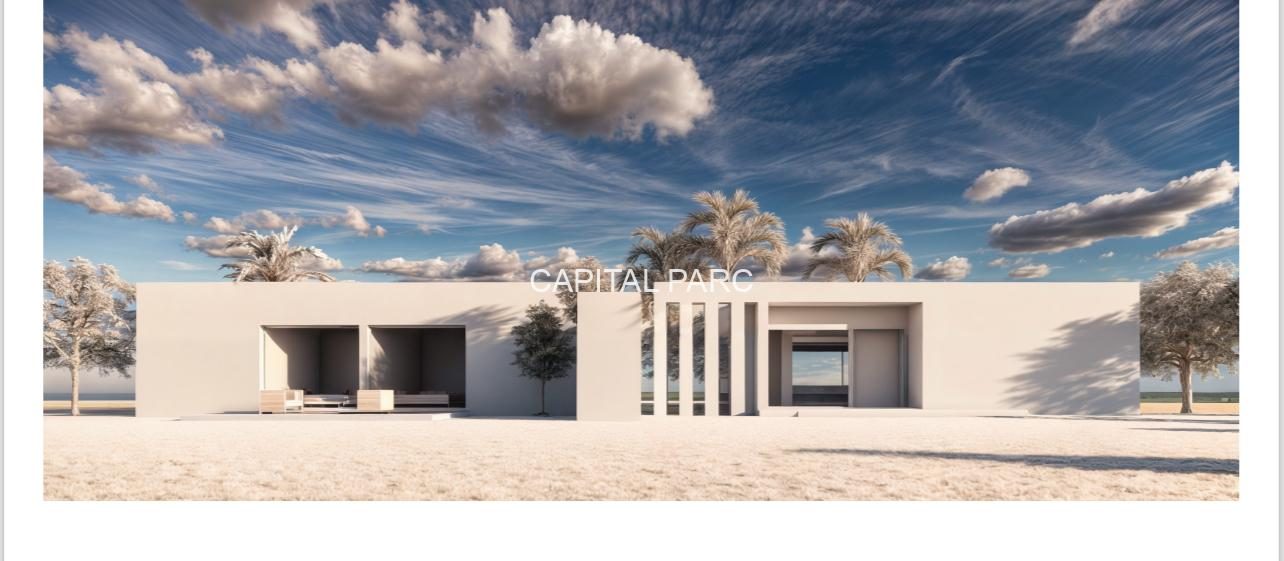 Terrain titré 3,85 ha, projet 16 villas – Tahanaoute — miniature 6