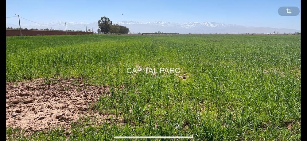 Terrain titré 3,85 ha, projet 16 villas – Tahanaoute — photo 9