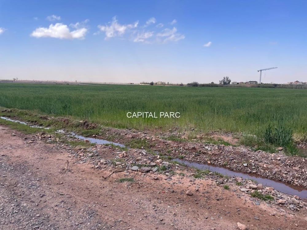 Terrain titré 3,85 ha, projet 16 villas – Tahanaoute — photo 10