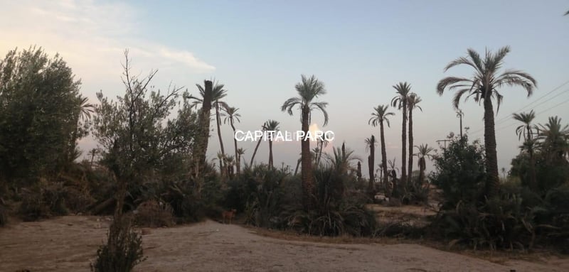Terrain 2069 m² à vendre Bab Atlas, Palmeraie Marrakech — Terrain, Marrakech