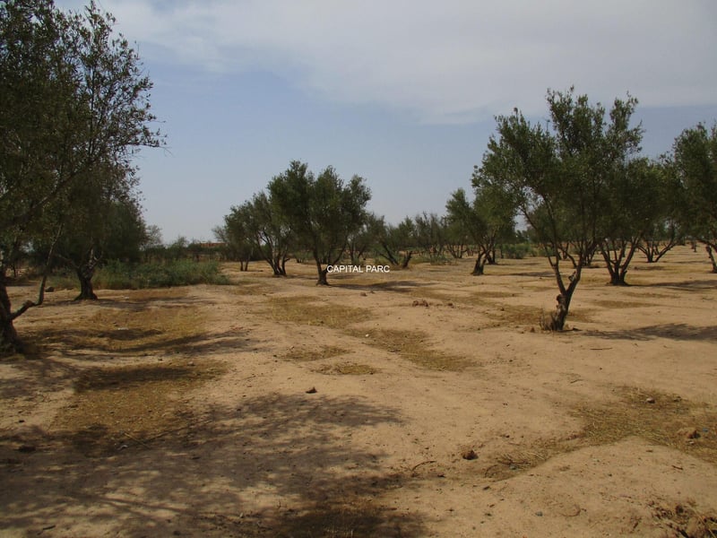 أرض فالبلاصة ديال الفيلات (2000 متر مربع) — Terrain zone villa, Marrakech