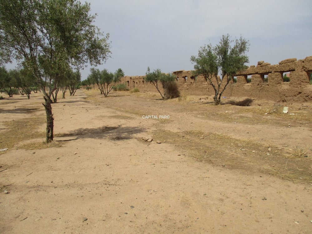 Terrain 6 ha SA2 à vendre, Route Ouarzazate, Marrakech — photo 3