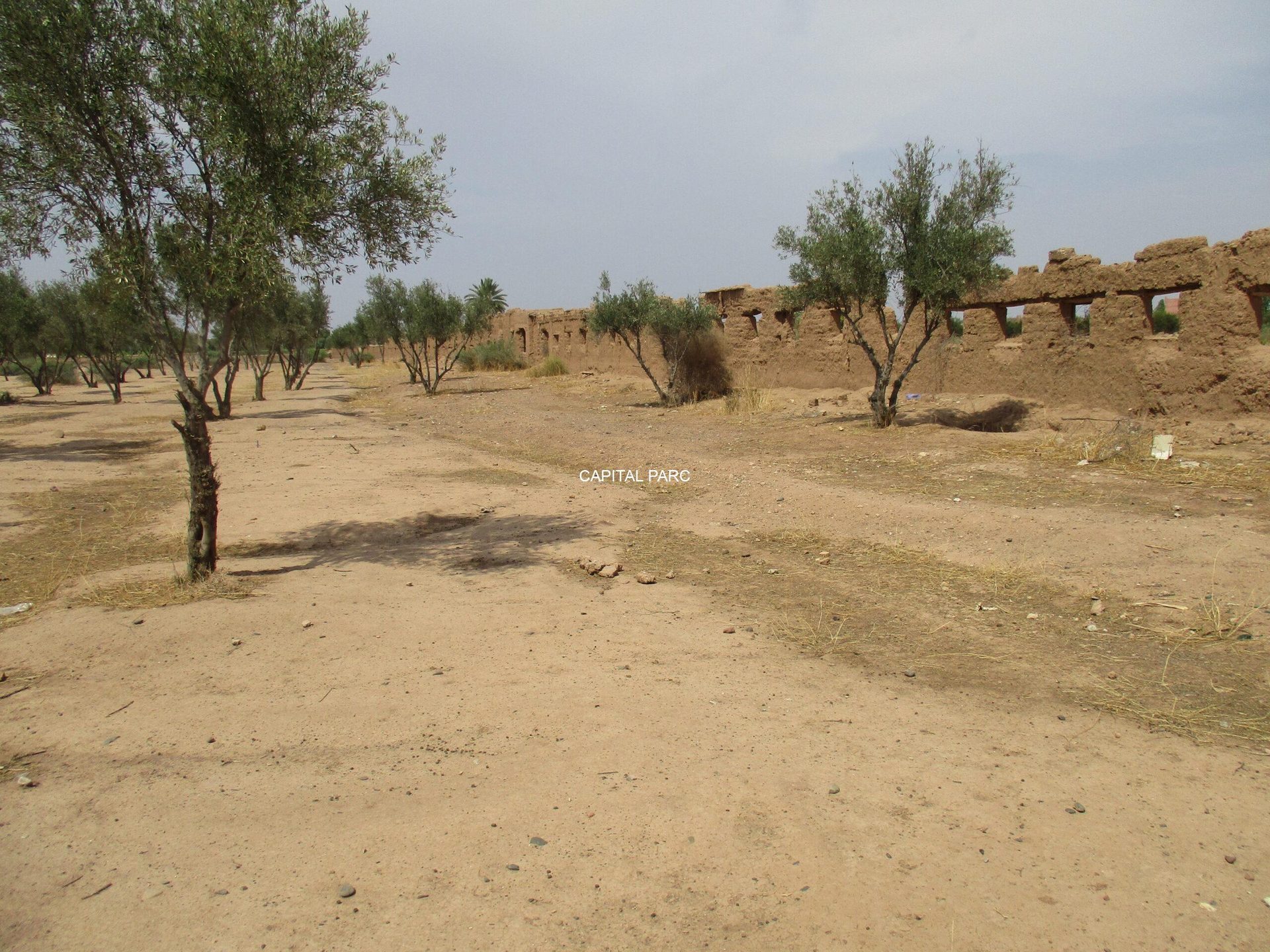 Terrain 6 ha SA2 à vendre, Route Ouarzazate, Marrakech — miniature 3