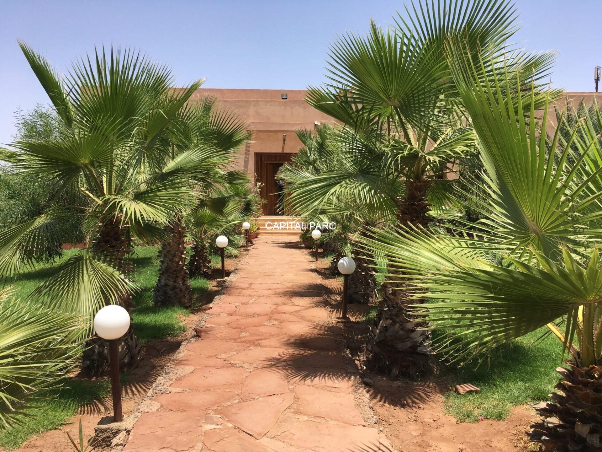 Villa d'architecte 800 m² à Bab Atlas, Marrakech (vendue) — miniature 2