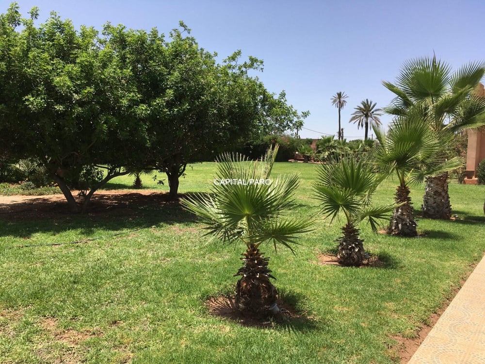 Villa d'architecte 800 m² à Bab Atlas, Marrakech (vendue) — photo 9