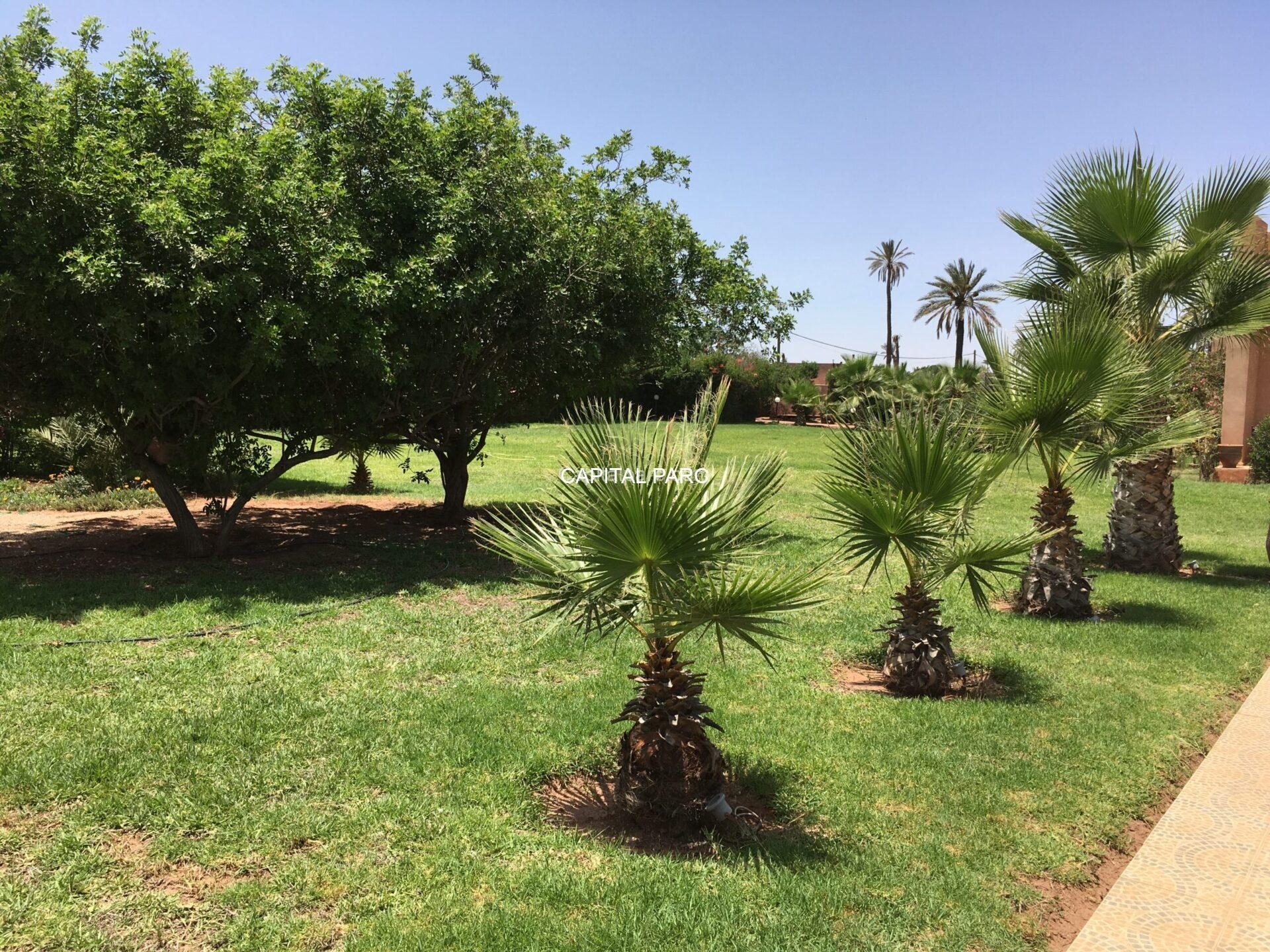 Villa d'architecte 800 m² à Bab Atlas, Marrakech (vendue) — miniature 9