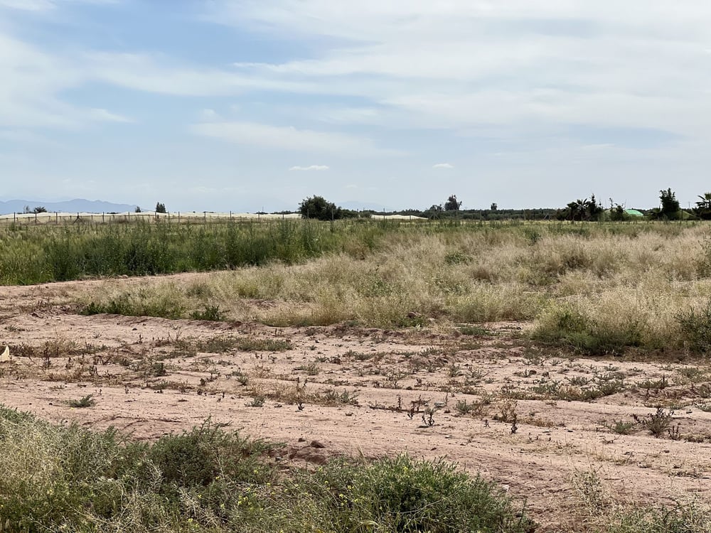 Terrain 8 650 m² à vendre, Chwiter, Route Ouarzazate, Marrakech — photo 2