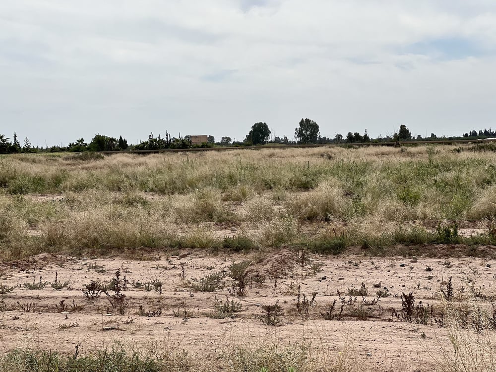 Terrain 8 650 m² à vendre, Chwiter, Route Ouarzazate, Marrakech — photo 7