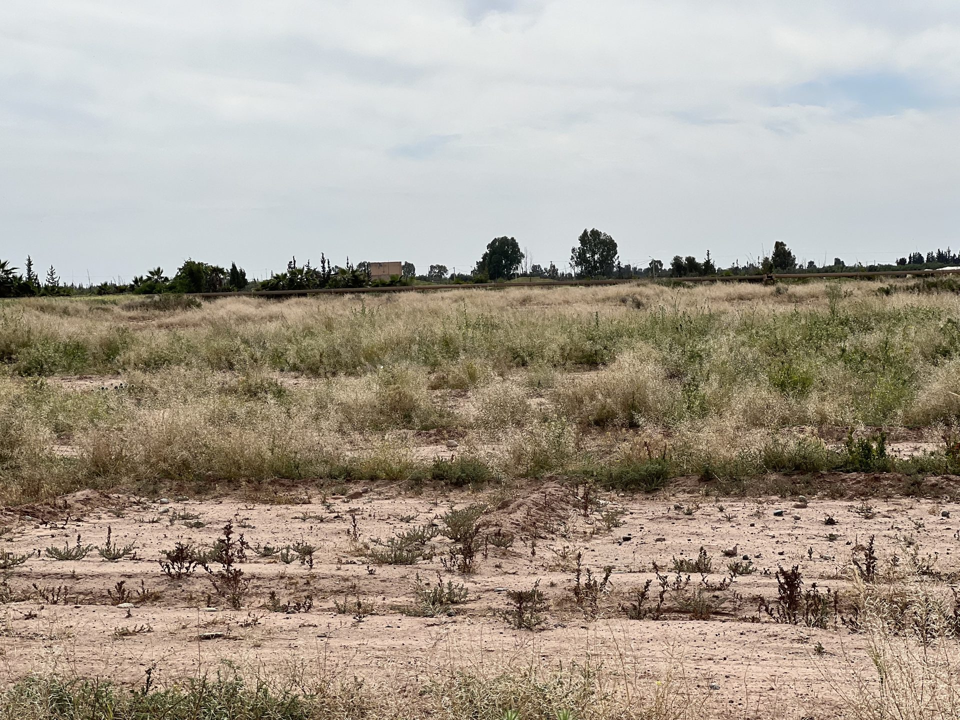 Terrain 8 650 m² à vendre, Chwiter, Route Ouarzazate, Marrakech — miniature 7