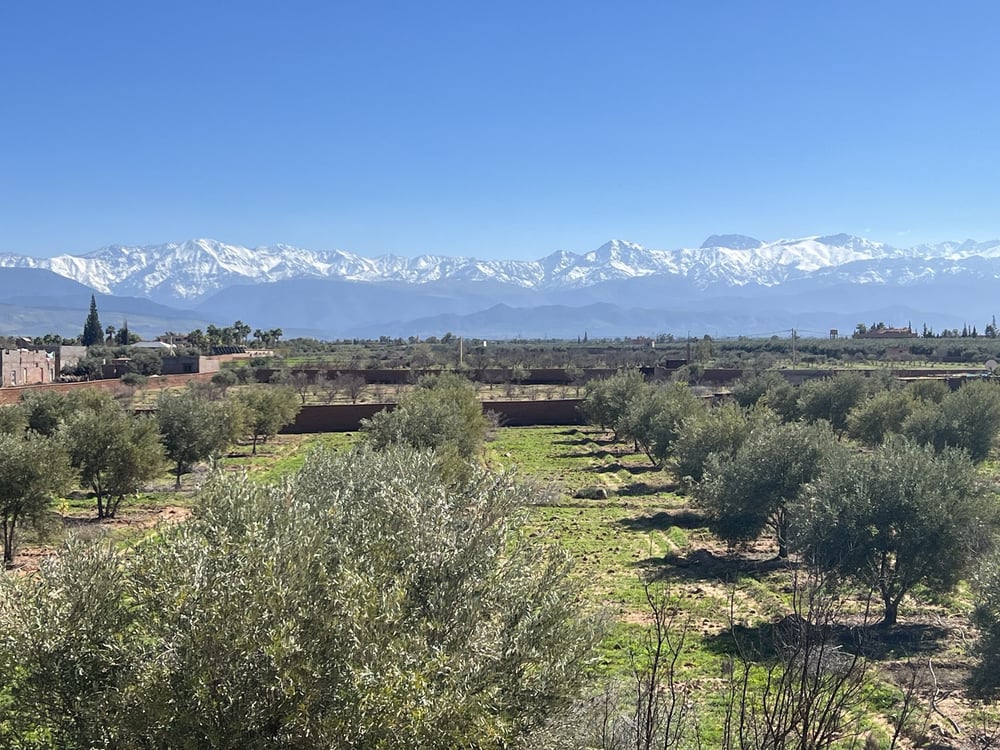 Ferme 3 ch. à vendre, 2 ha, Sidi Abdellah Ghiat, Marrakech — photo 13