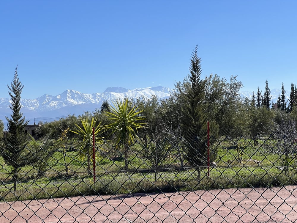 Ferme 3 ch. à vendre, 2 ha, Sidi Abdellah Ghiat, Marrakech — photo 16
