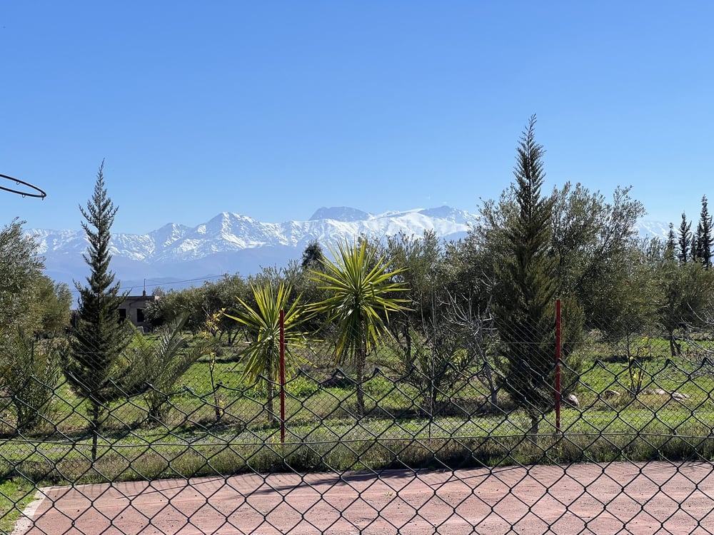 Ferme 3 ch. à vendre, 2 ha, Sidi Abdellah Ghiat, Marrakech — photo 18