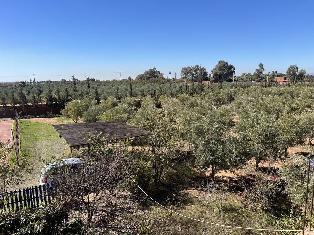 Ferme 3 ch. à vendre, 2 ha, Sidi Abdellah Ghiat, Marrakech — photo 9