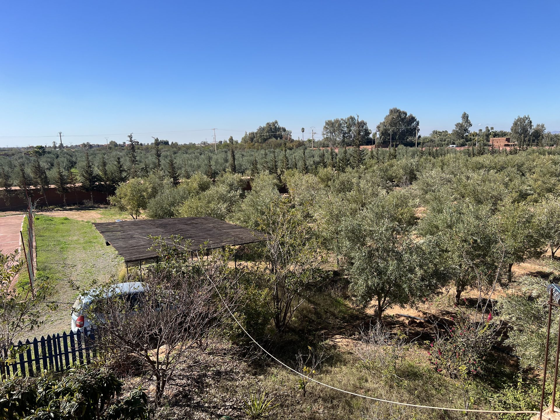 Ferme 3 ch. à vendre, 2 ha, Sidi Abdellah Ghiat, Marrakech — miniature 9