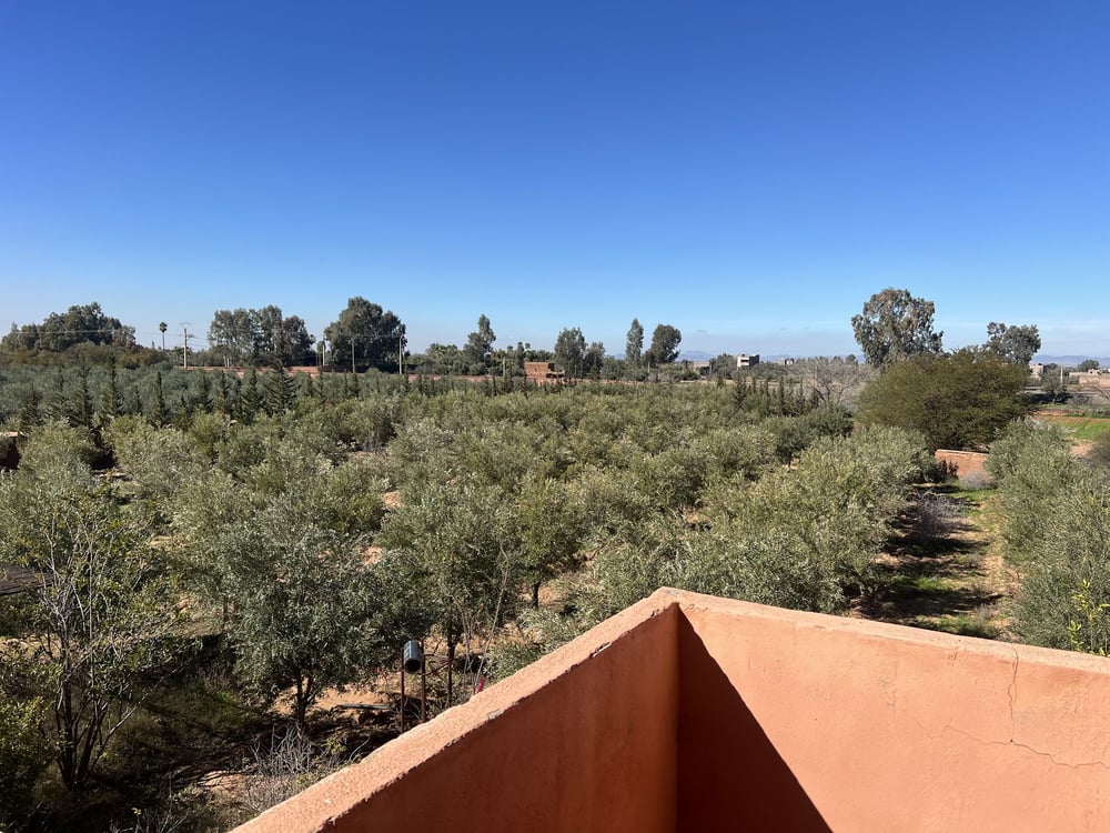 Ferme 3 ch. à vendre, 2 ha, Sidi Abdellah Ghiat, Marrakech — photo 10