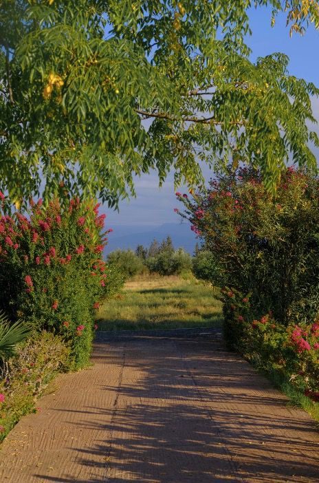 Propriété 5,8 ha 600 m² 4 ch. à vendre Tasoultante, Marrakech — photo 12