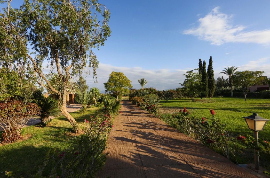 Propriété 5,8 ha 600 m² 4 ch. à vendre Tasoultante, Marrakech — miniature 15