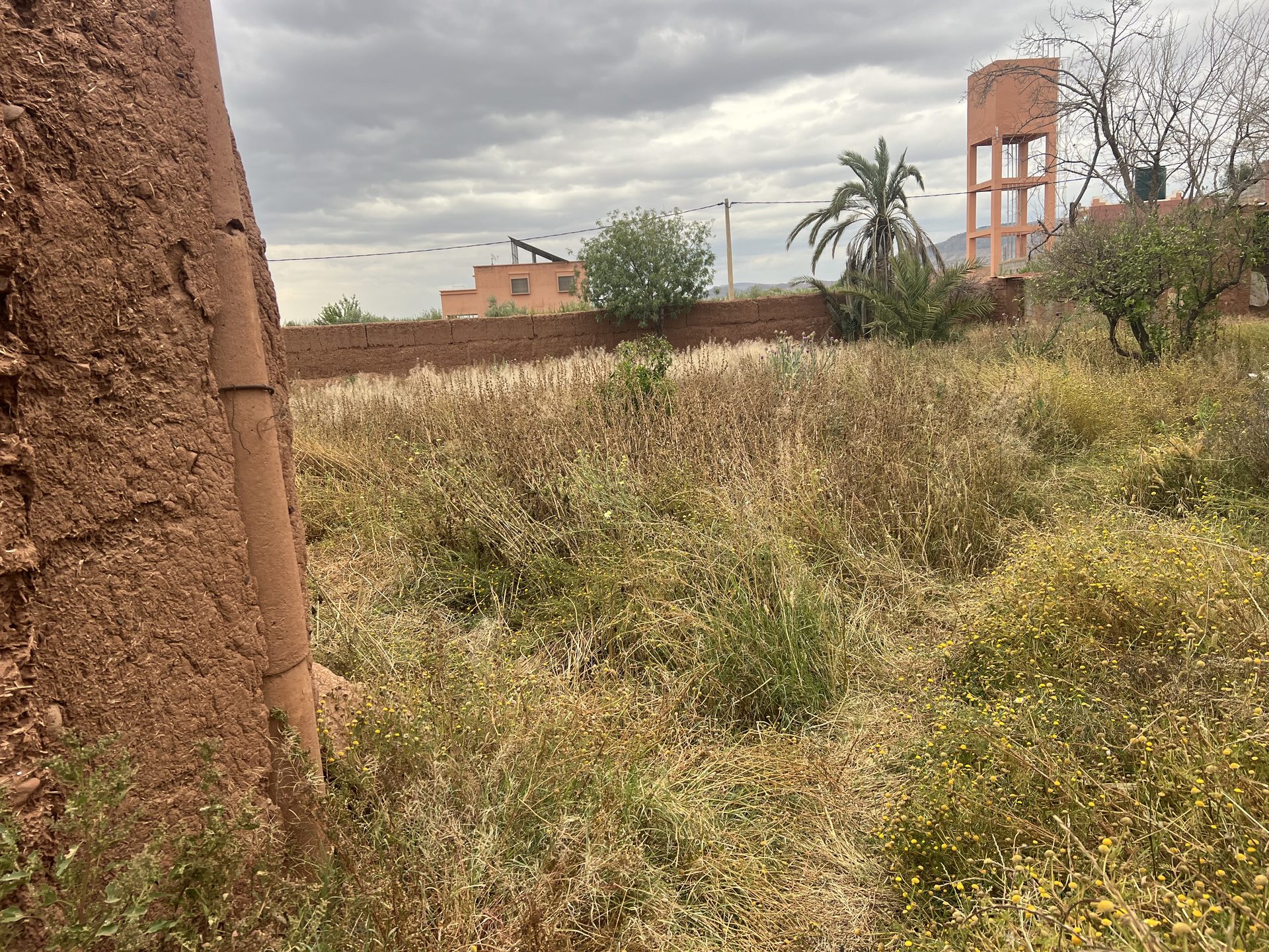 Ferme 2, 25 ha, 84 oliviers, à vendre à Tamazouzt, Marrakech — Ferme, Sidi Abdellah Ghiat