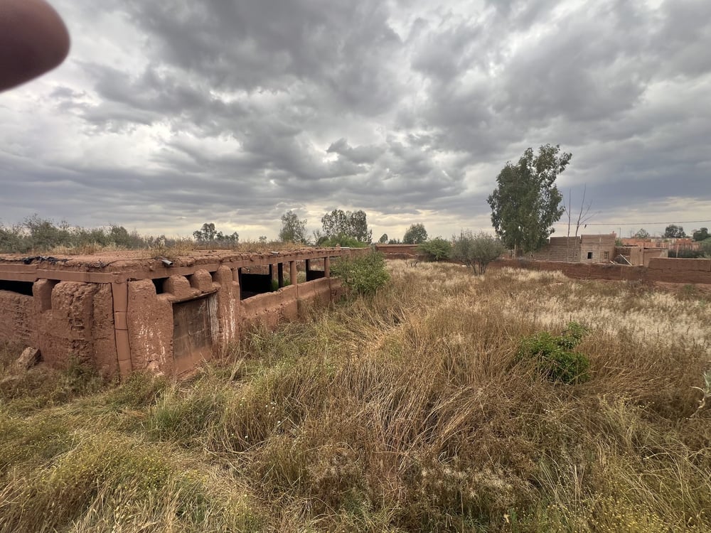 Ferme 2,25 ha, 84 oliviers, à vendre à Tamazouzt, Marrakech — photo 2