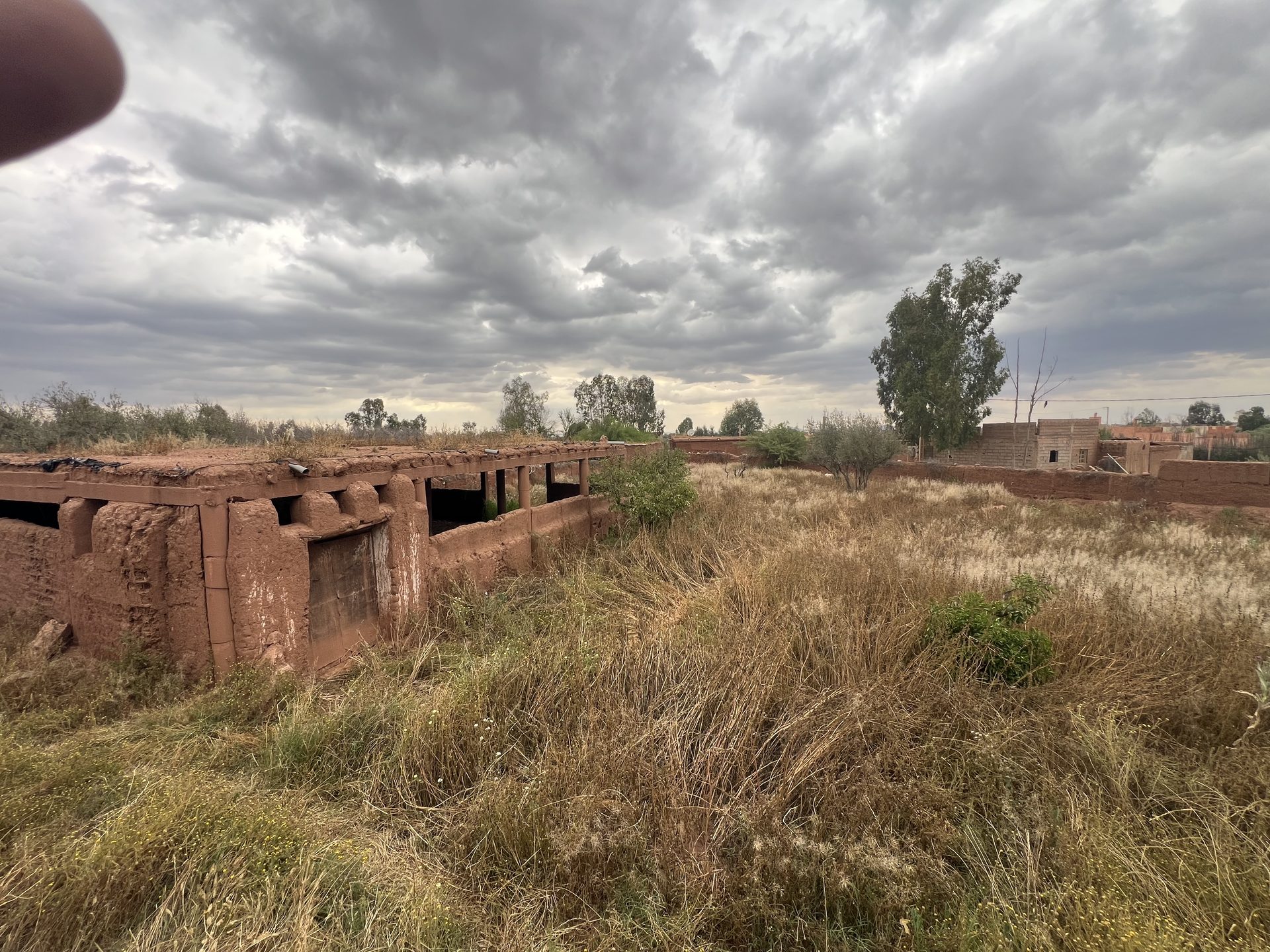 Ferme 2,25 ha, 84 oliviers, à vendre à Tamazouzt, Marrakech — miniature 2