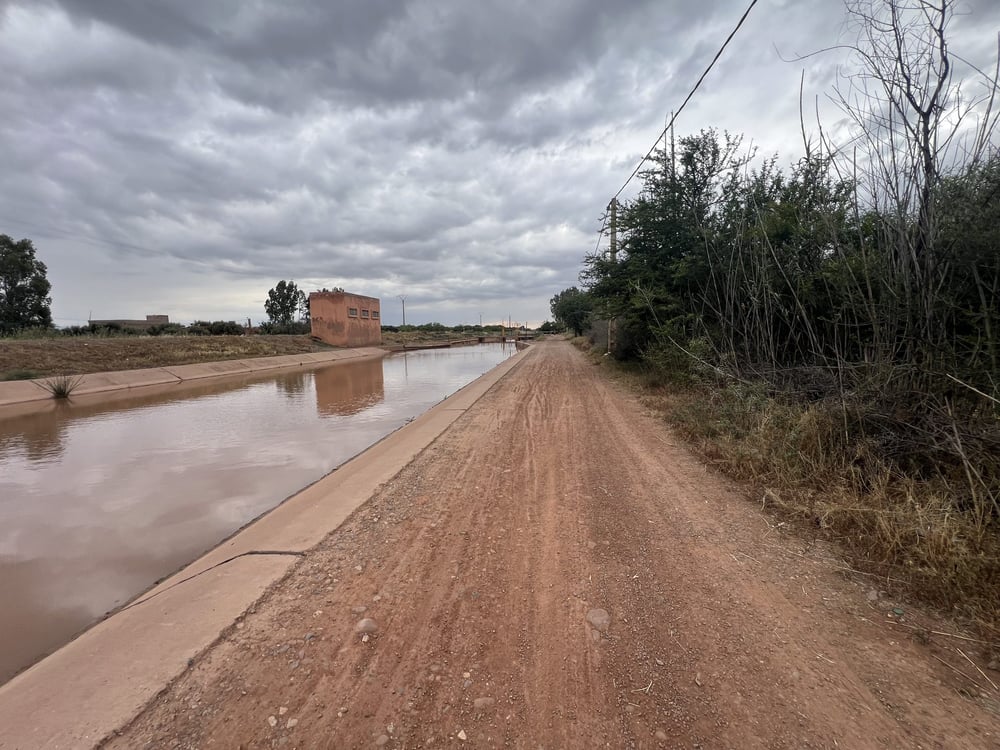 Ferme 2,25 ha, 84 oliviers, à vendre à Tamazouzt, Marrakech — photo 11