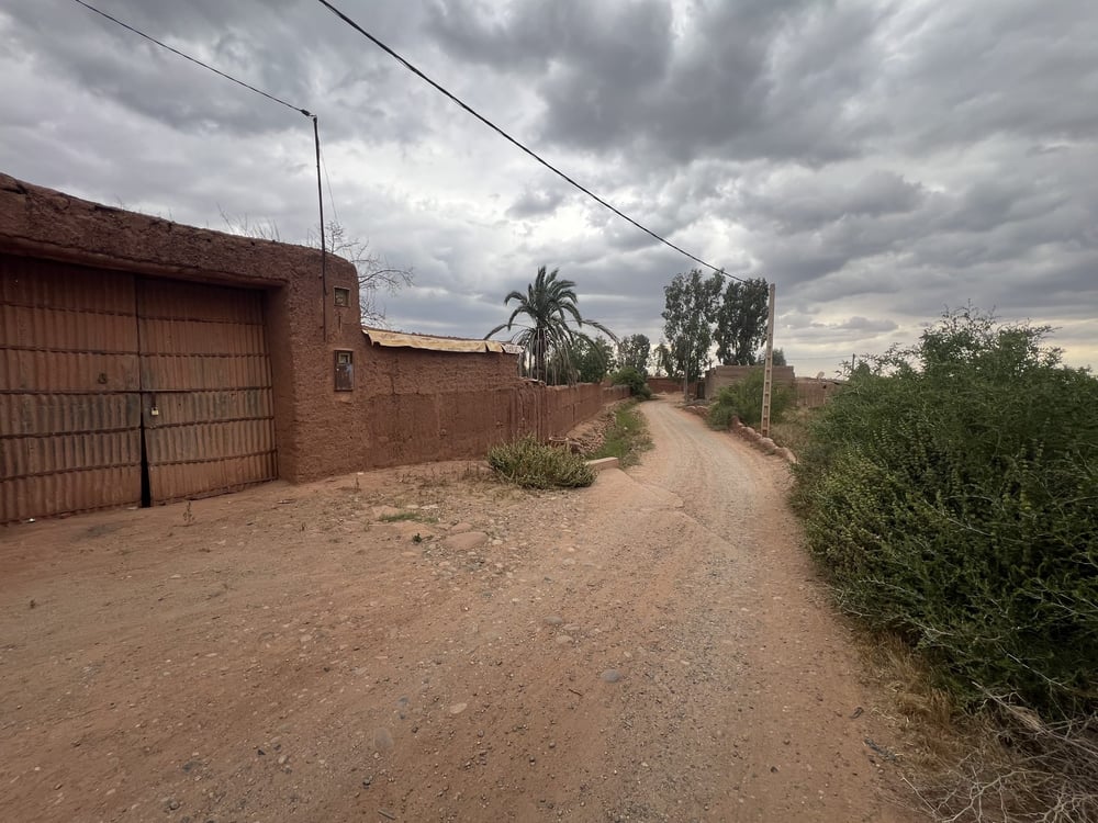 Ferme 2,25 ha, 84 oliviers, à vendre à Tamazouzt, Marrakech — photo 12