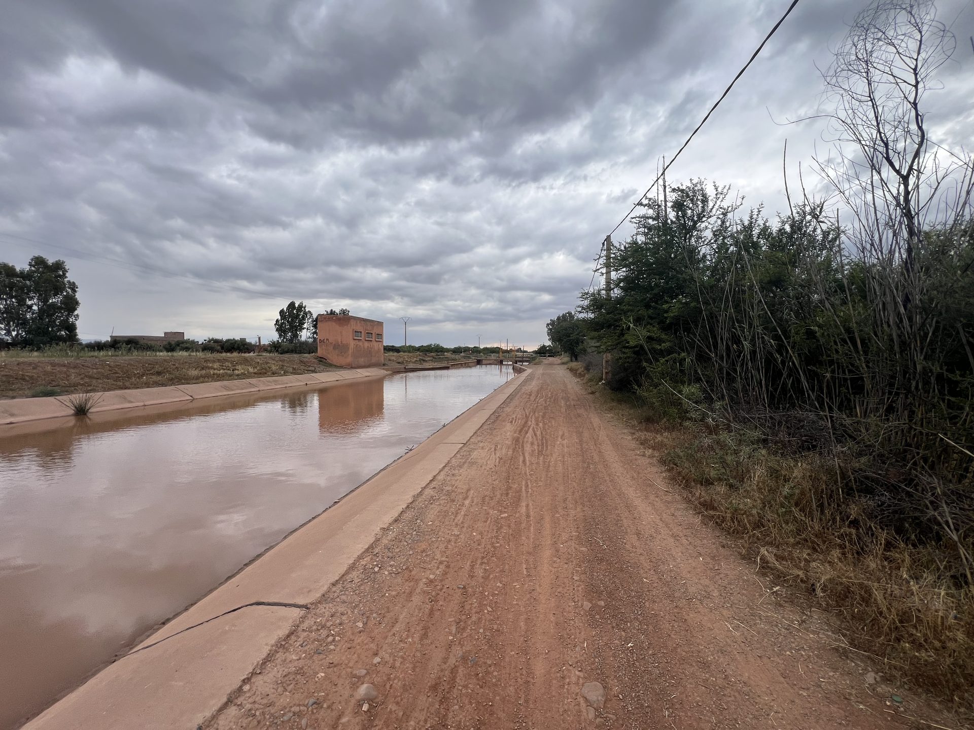 Ferme 2,25 ha, 84 oliviers, à vendre à Tamazouzt, Marrakech — miniature 13