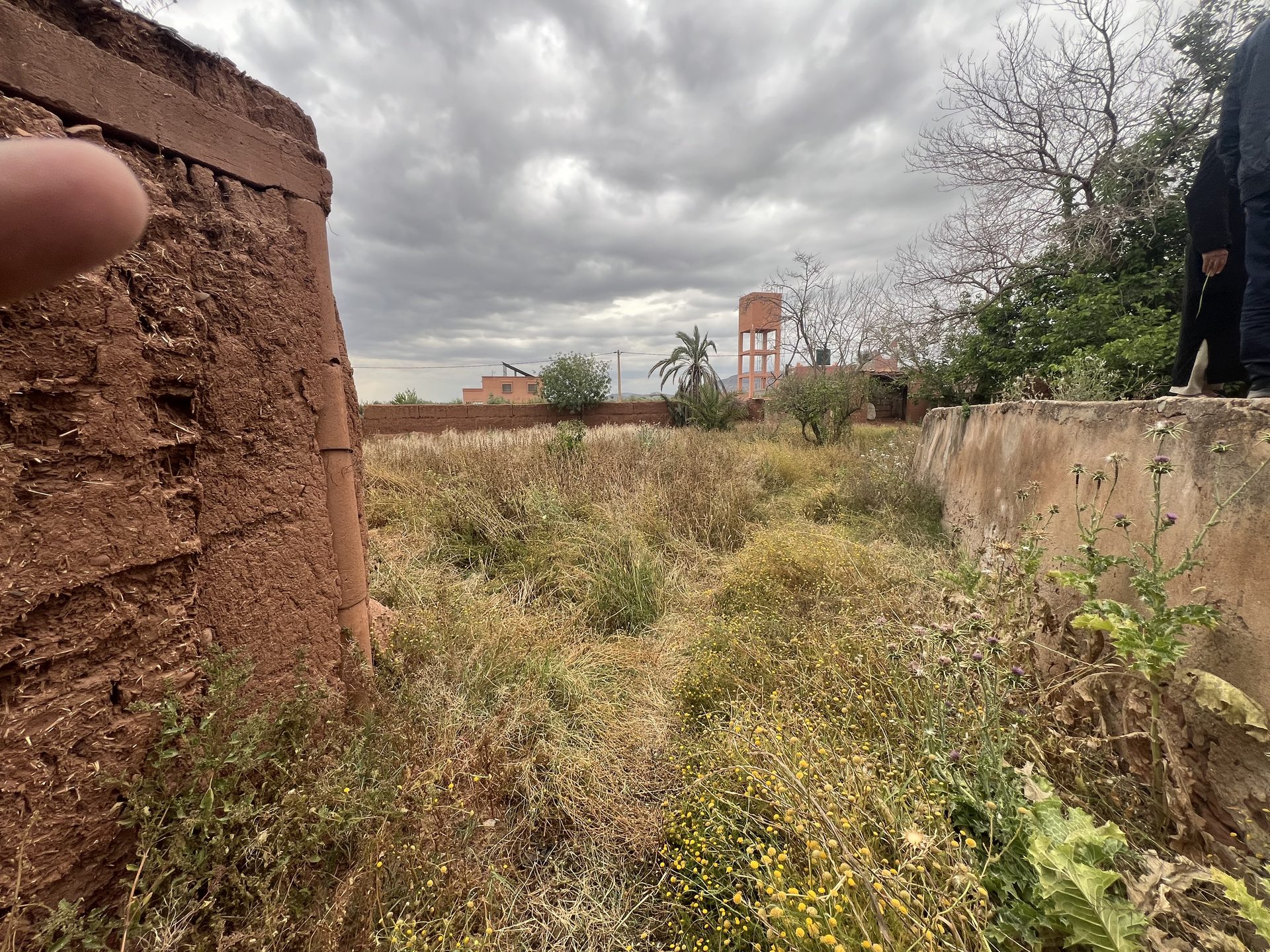 Ferme 2,25 ha, 84 oliviers, à vendre à Tamazouzt, Marrakech — miniature 8