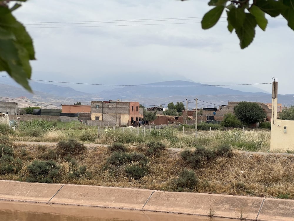 Ferme 2,25 ha, 84 oliviers, à vendre à Tamazouzt, Marrakech — photo 9