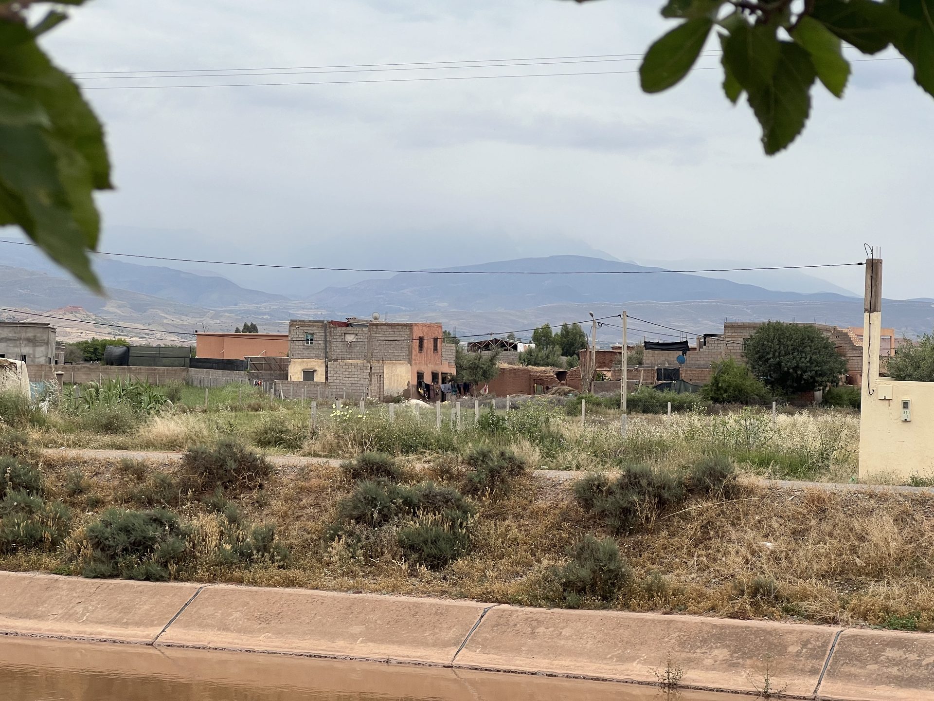 Ferme 2,25 ha, 84 oliviers, à vendre à Tamazouzt, Marrakech — miniature 9