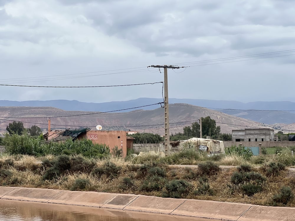 Ferme 2,25 ha, 84 oliviers, à vendre à Tamazouzt, Marrakech — photo 10