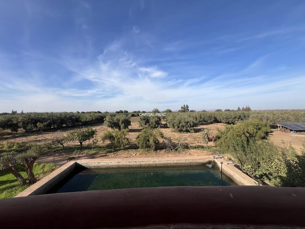 Ferme de 4 ha à vendre, 4 ch., Aït Ourir, Marrakech — photo 4