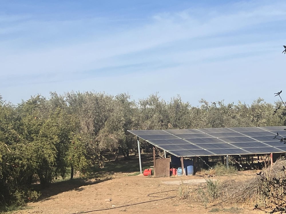 Ferme de 4 ha à vendre, 4 ch., Aït Ourir, Marrakech — photo 8