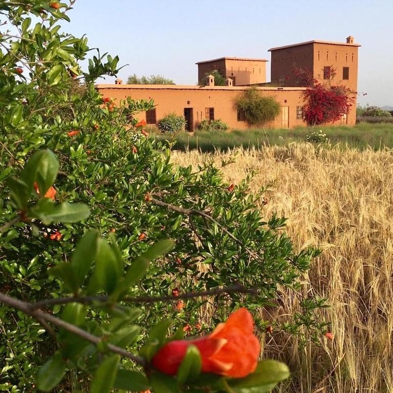 Maison d'hôtes 1000 m² sur 2,3 ha – Route de Fès, Marrakech — photo 19