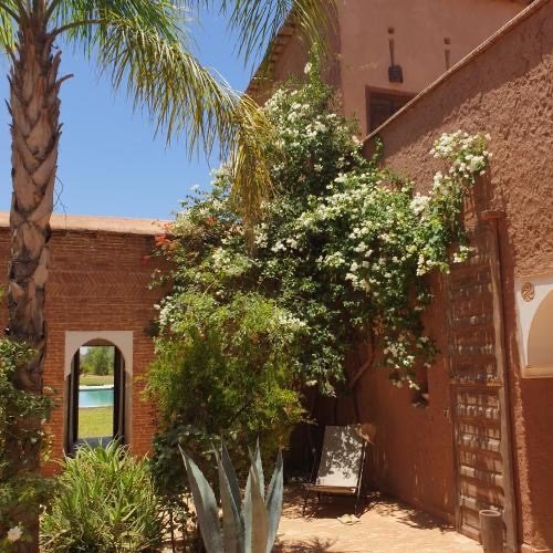Maison d'hôtes 1000 m² sur 2,3 ha – Route de Fès, Marrakech — photo 20