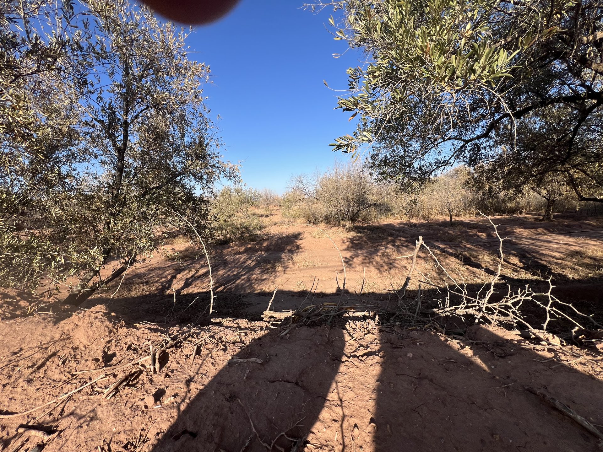 Ferme 3000 m² à vendre Sidi Ghiate, Marrakech — miniature 3