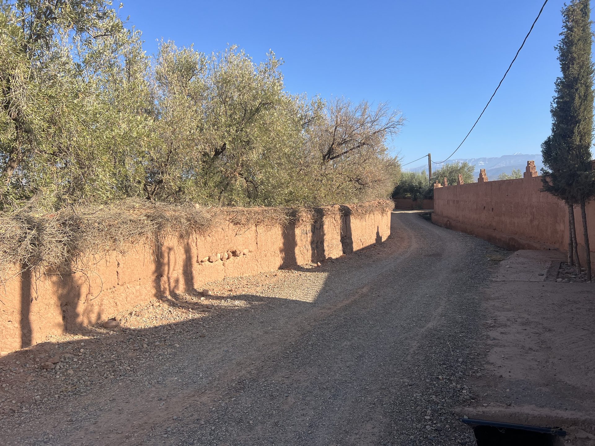 Ferme 3000 m² à vendre Sidi Ghiate, Marrakech — miniature 7
