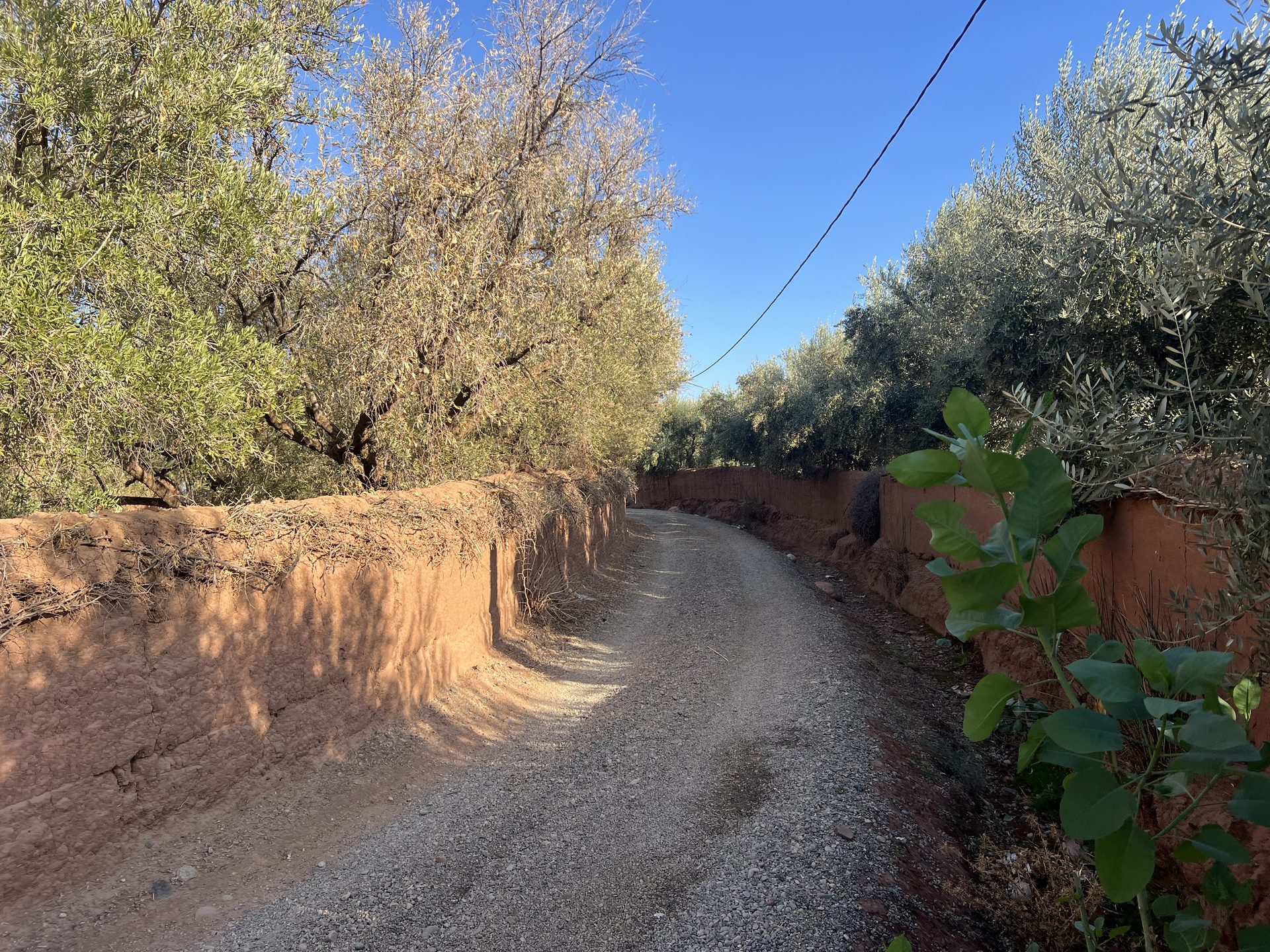 Ferme 3000 m² à vendre Sidi Ghiate, Marrakech — miniature 10