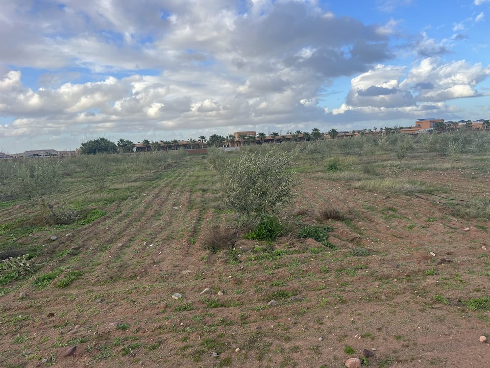 Terrain 1,03 ha zone SD1 à vendre – Route de l'Ourika, Marrakech — photo 2